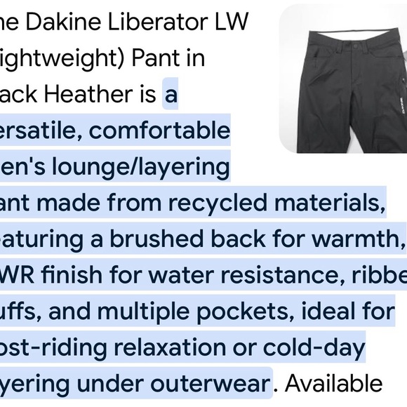 Dakine Liberator Men’s Pants NWT - Picture 6 of 7